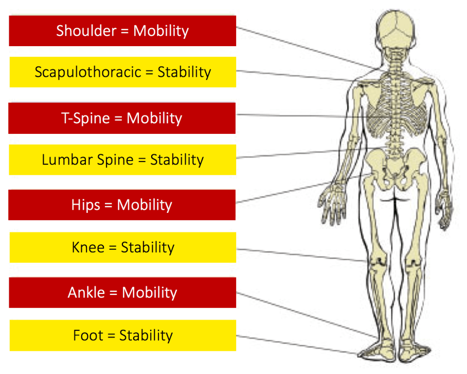 Screen Shot 2018-07-19 at 11.49.07 AM.png