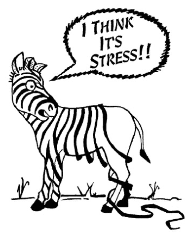 Zebra stressed about losing his stripes